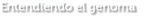 Entendiendo el genoma